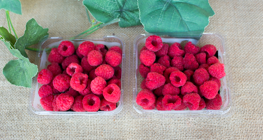 Tallogum Raspberries