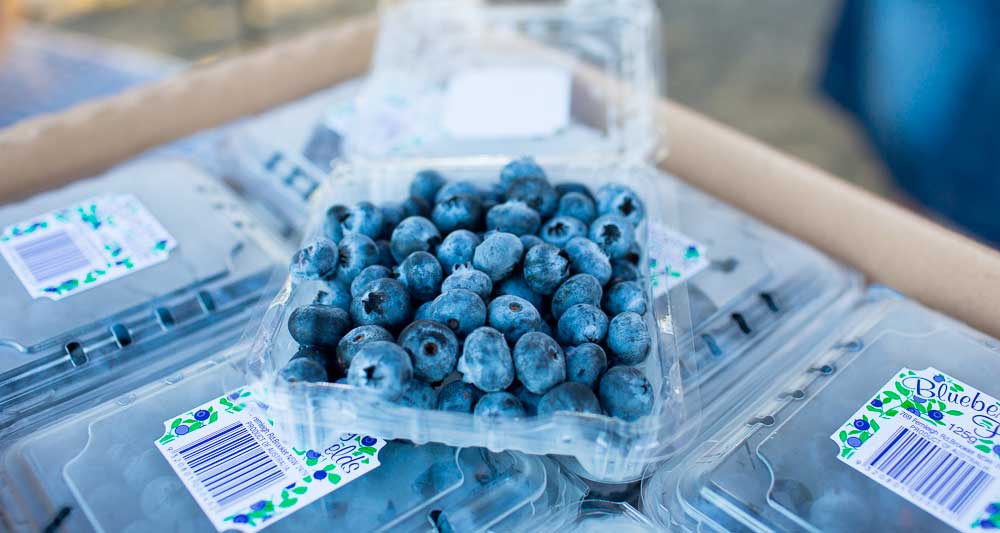 Blueberry-Fields