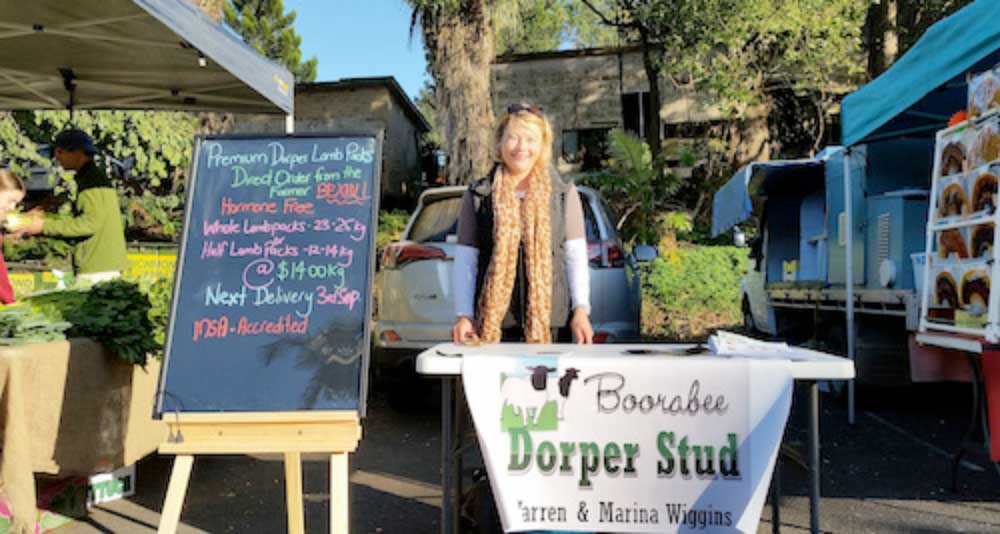 Boorabee-Dorper-Sheep-Stud