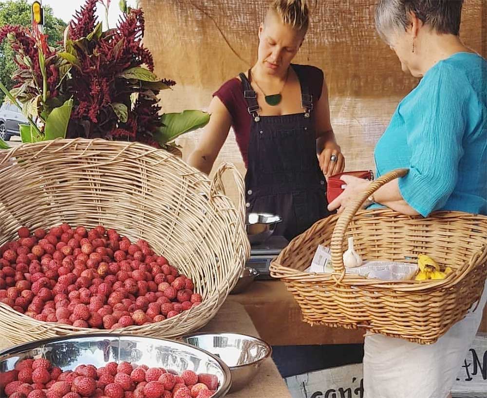 Conscious-Ground-Certified-Organic