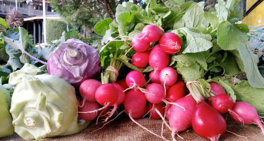 Kennedy’s-Lane-Farm-Certified-Organic