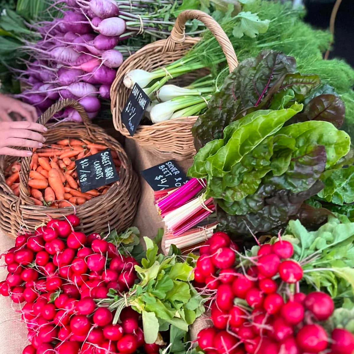 Fresh-Produce